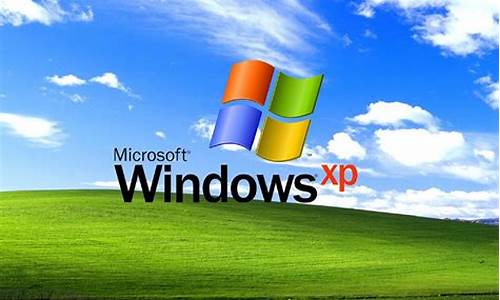 winxp 源码